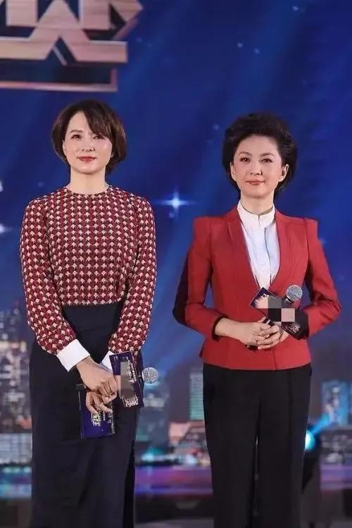 央视的两位气质主持人同台，你觉得谁更胜一筹呢？

她们两位都属于那种知性优雅，温