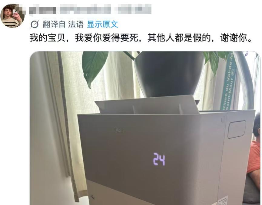 没想到今年国产的空调，在欧洲区集体彻底爆火出圈，如果你在X平台搜索关键词国内某个
