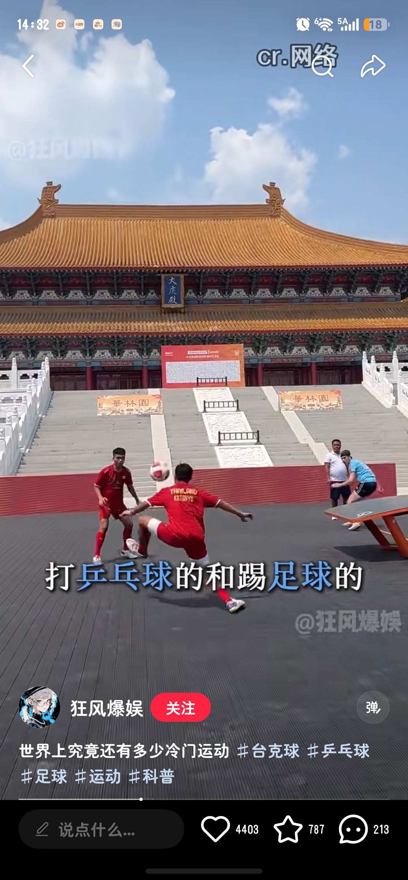 我也是长见识了！！！原来还有一种运动叫做台克球简单的来说就是类似于乒乓球和足球的