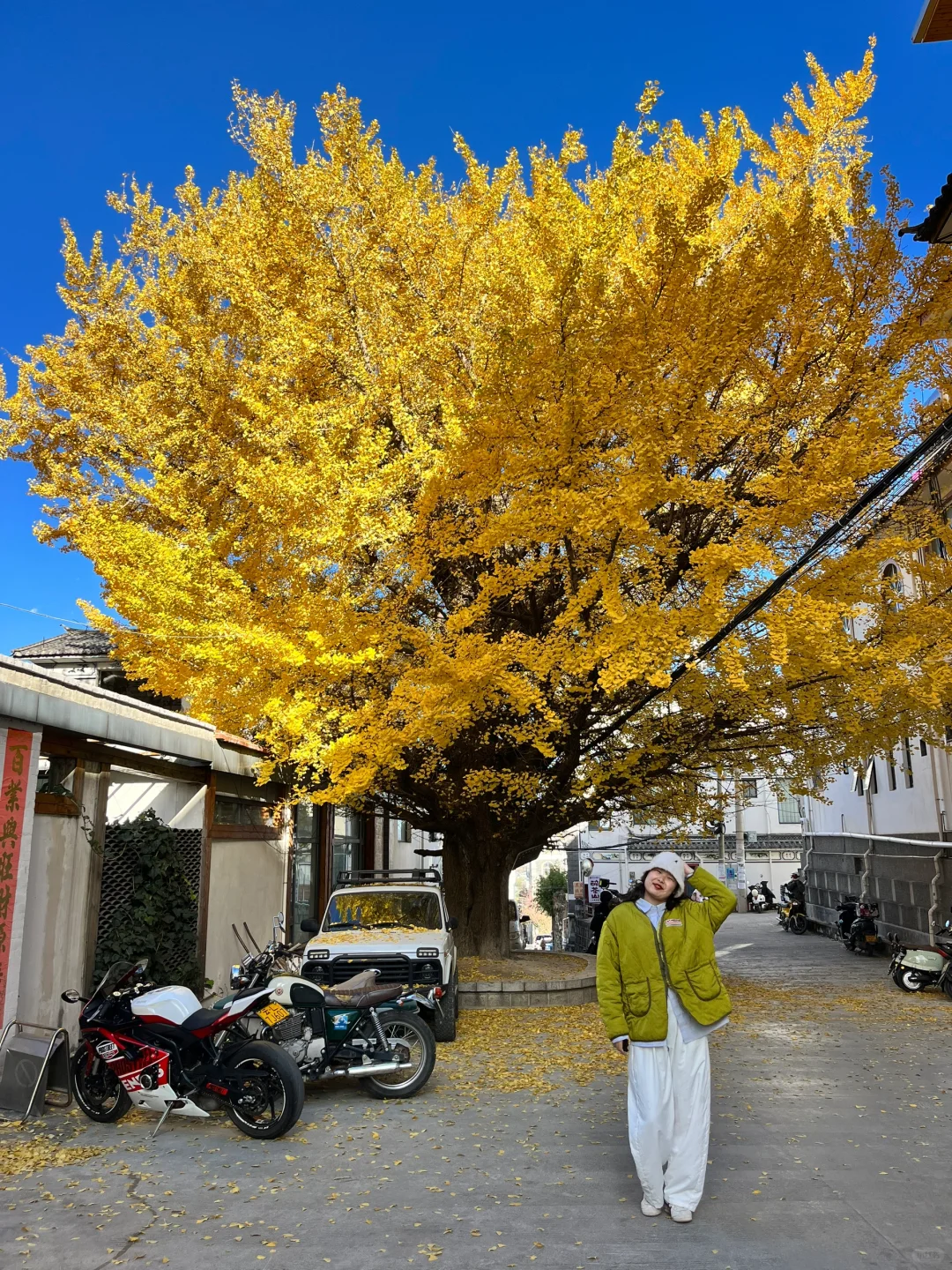 Live | 现在是大理最好看的季节