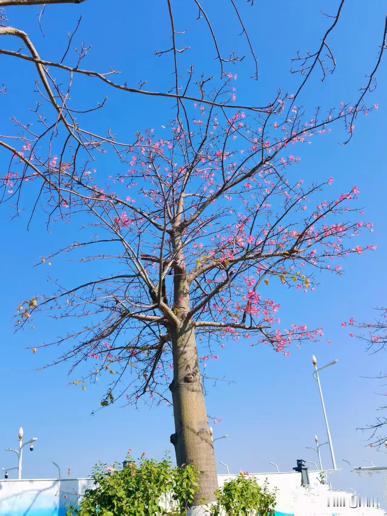 女人开始衰老的九个信号，句句扎心又真实
 
不知道你有没有发现，女人的衰老从来不