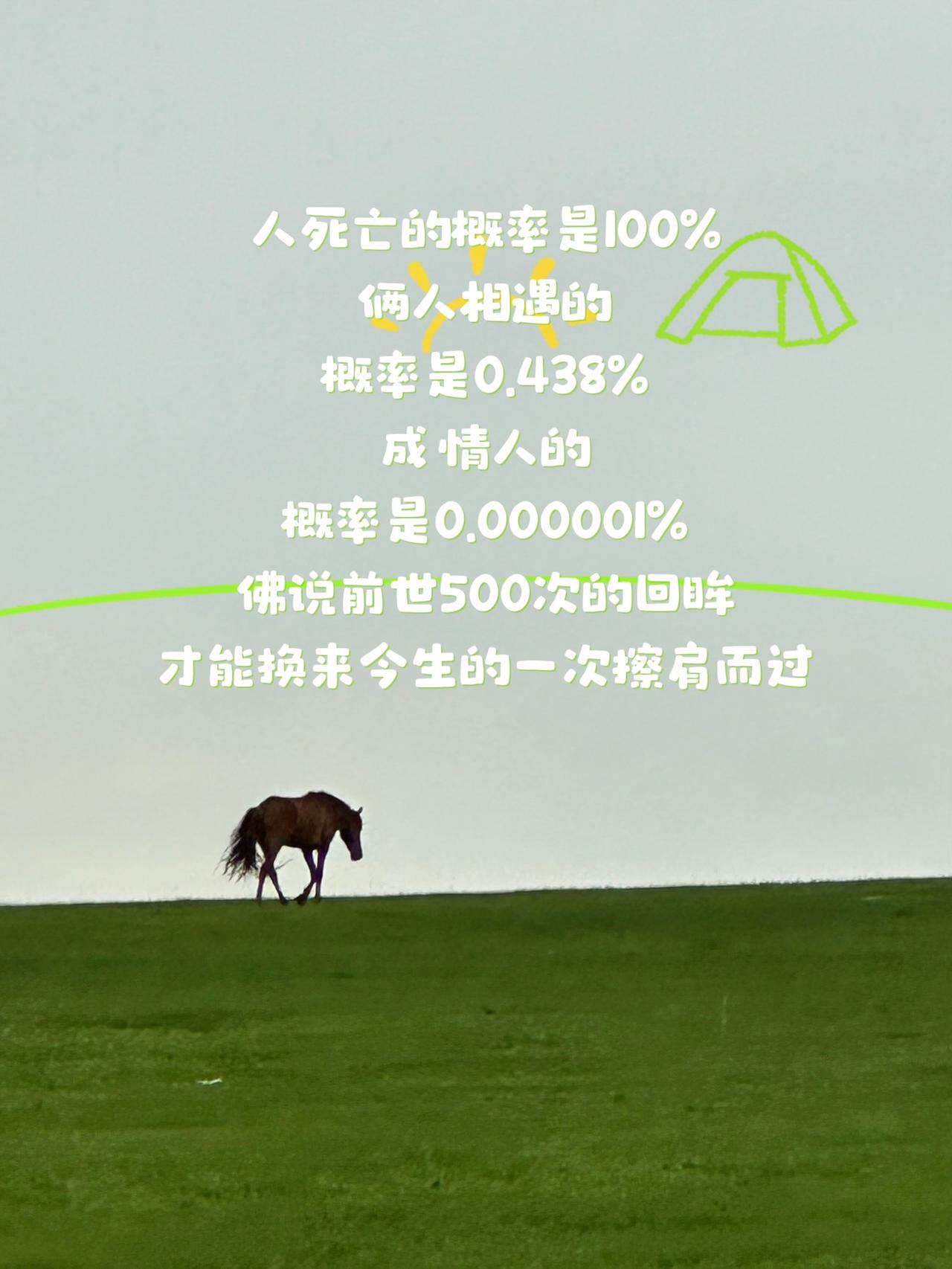 请珍惜拥有的情缘吧！，前世500次的回眸，才换来今生的相遇人生感悟