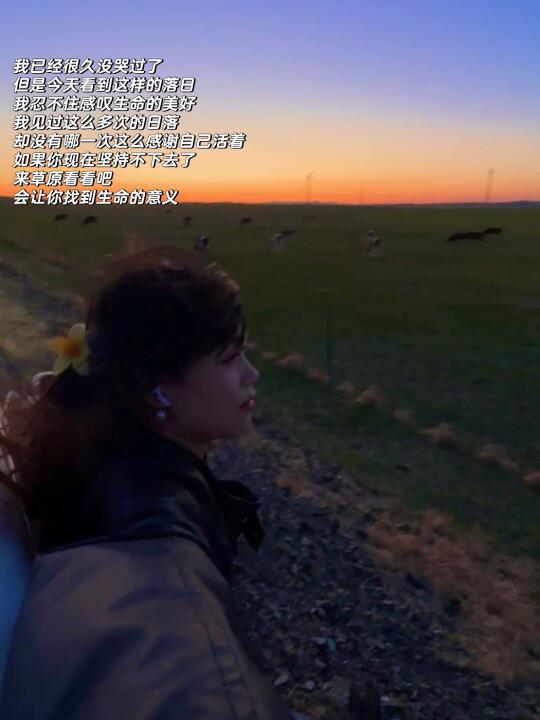 5.31呼伦贝尔Live｜草原的最后一天我落泪了