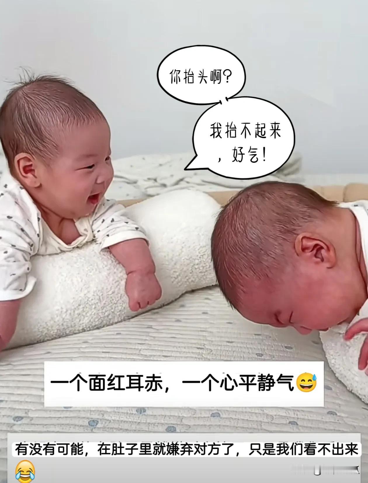 一个心平气和，一个面红耳赤