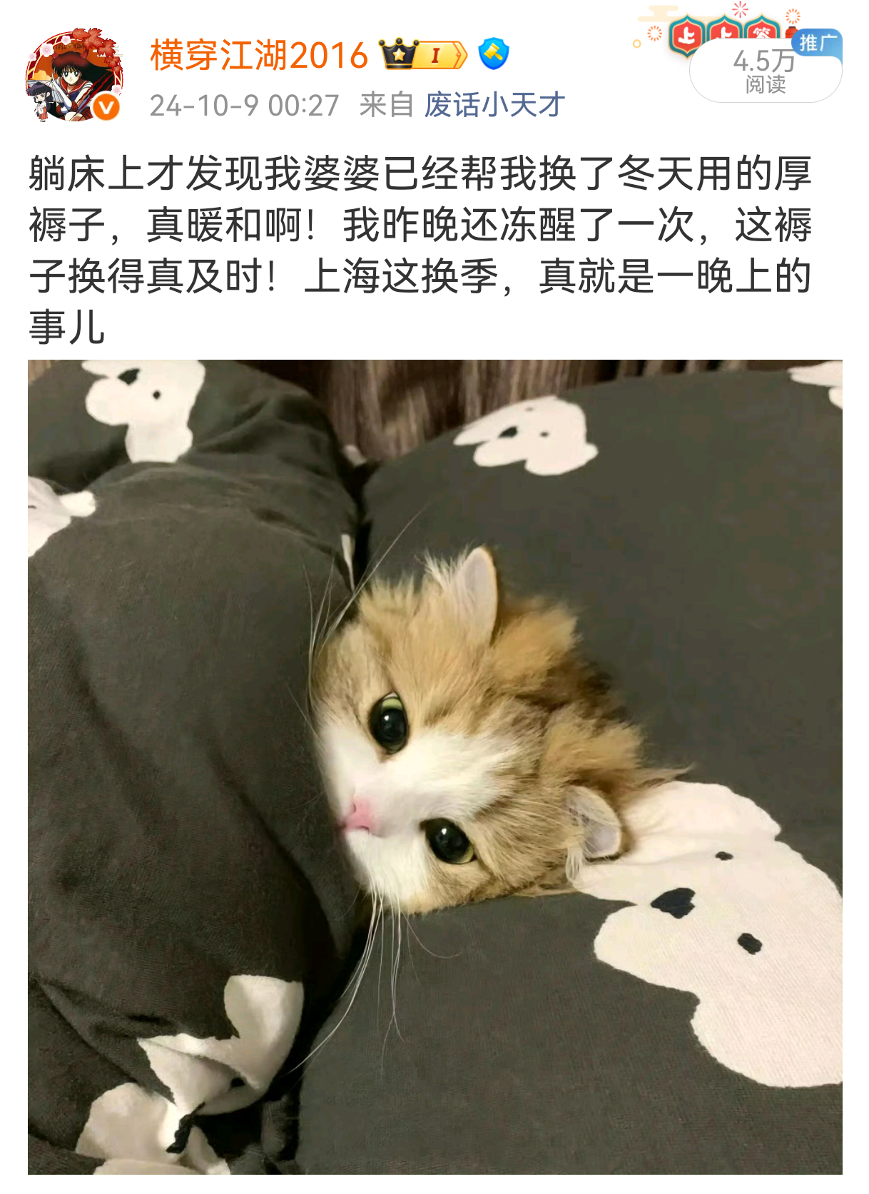 今年魔都的冬天果然比往年来得更晚了一点翻看一年前的今天，我都盖上新棉被了，今年的