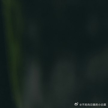 每日一善🌹阳光信用学习是一种持续不断的过程。- 奥巴马 