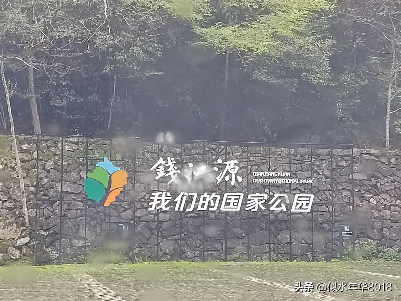 南京出发前往衢州，冒雨打卡钱江源国家森林公园
时间：2026年3月31日
早上八