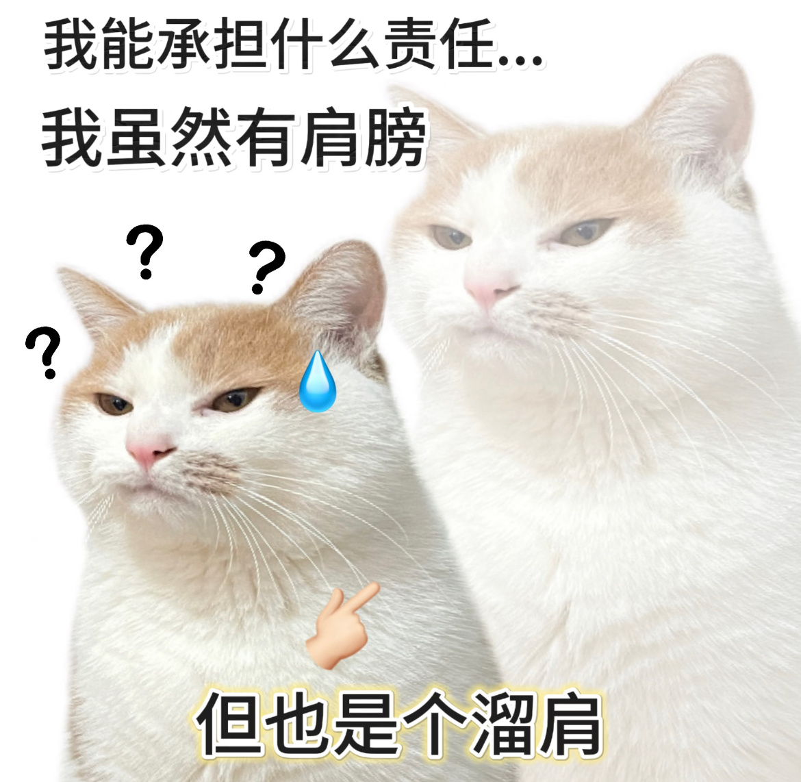 家里最没用的把最有用的吃了每到过年就会出现两个世纪难题：1.家里的老物件事怎么坏