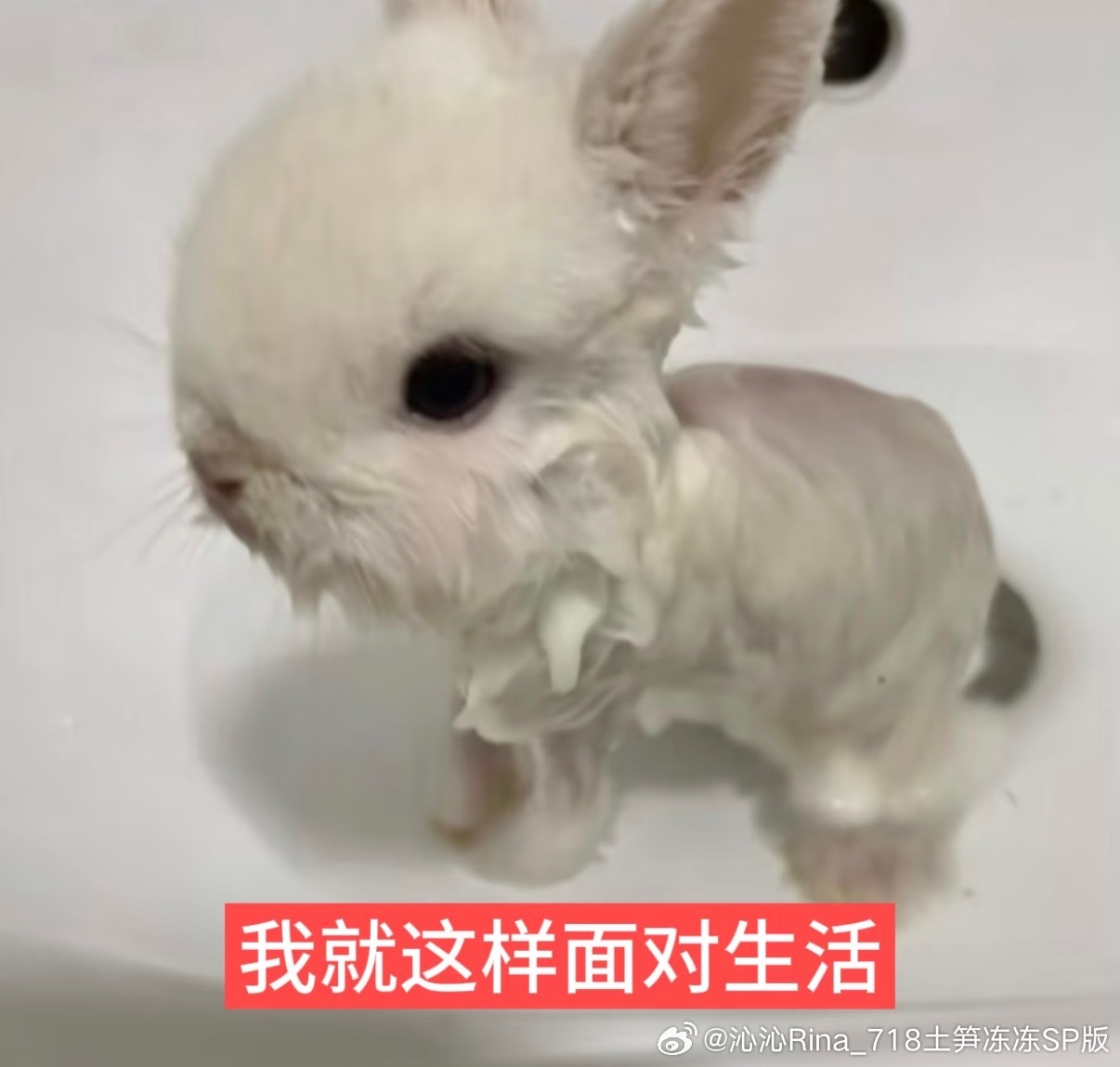 对于明天三周年我想说，你一定要记住啊，作为一个过来人，我是已经过来了，没有什么困
