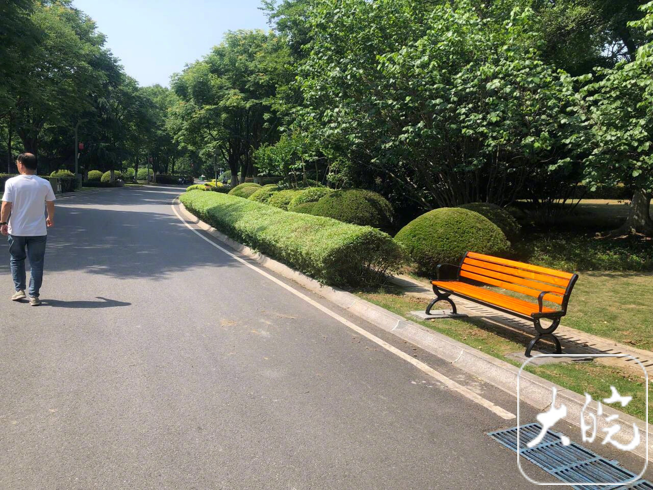【#合肥两大型公园新添休闲座椅#】今年“五一”假期期间，有合肥市民向大皖新闻记者