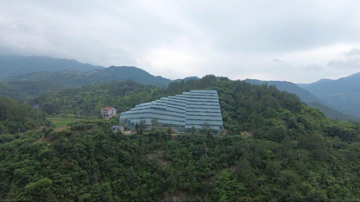 丽水青田特色农业多点开花书写共富答卷当地依托“舒心助农”服务团，扩容标准化种植基