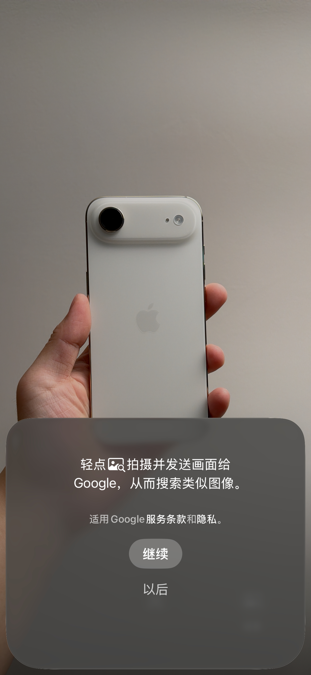 长按拍照键打开的视觉智能，国行版 iPhone 目前接入的仍为 Google 搜