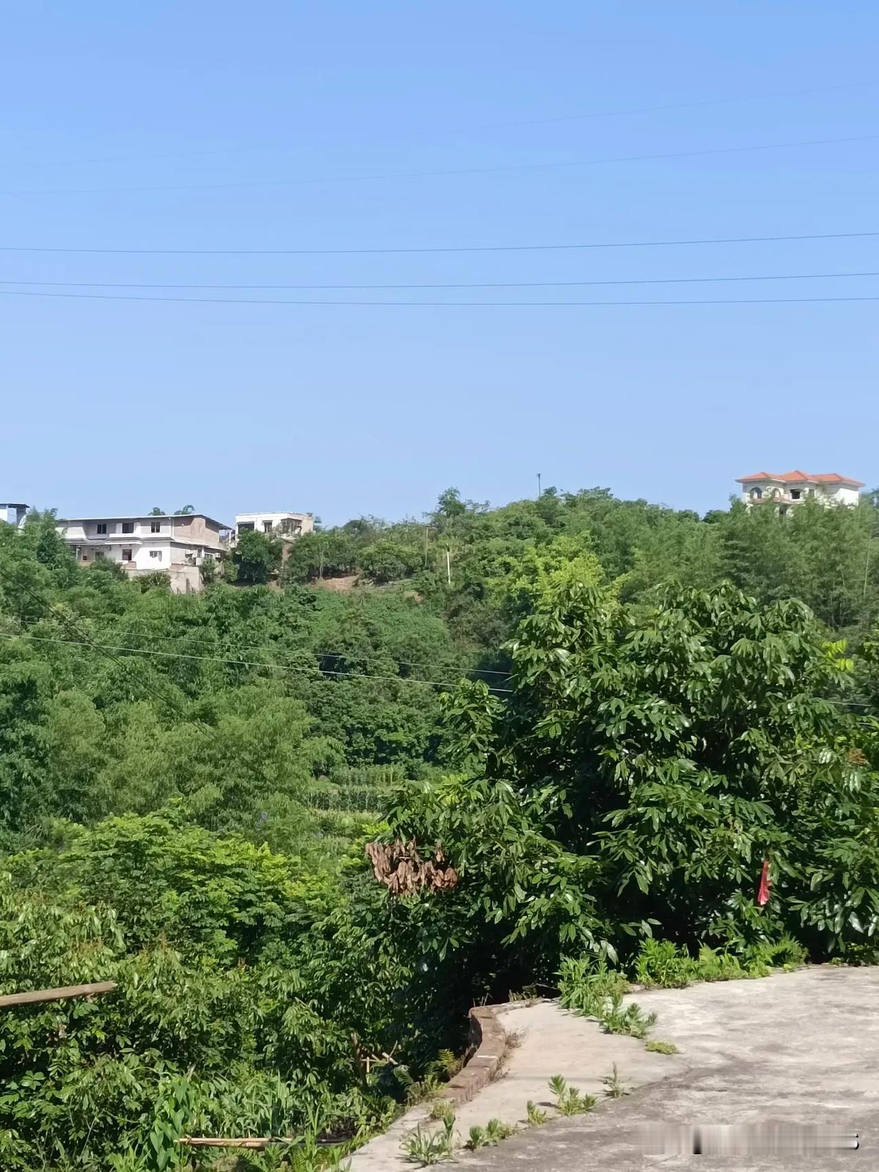 “闰月伏，热得哭”，这话可真没说错！今年闰六月撞上三伏天，简直是把“烤箱模式”调