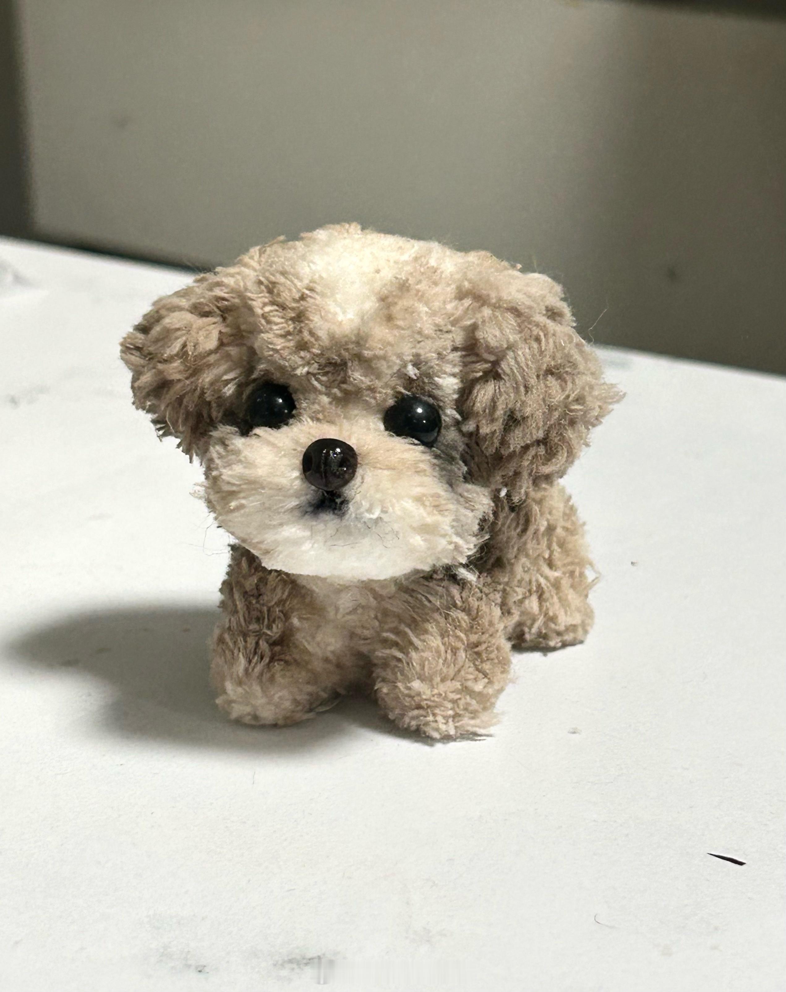 给大家看我做的小狗！！ ​​​