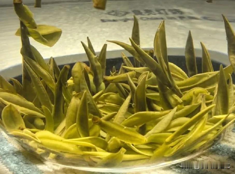 03年，我们单位来了一位中年女同事，大脸盘，高颧骨，大家谁也没有想到，她竟然是我