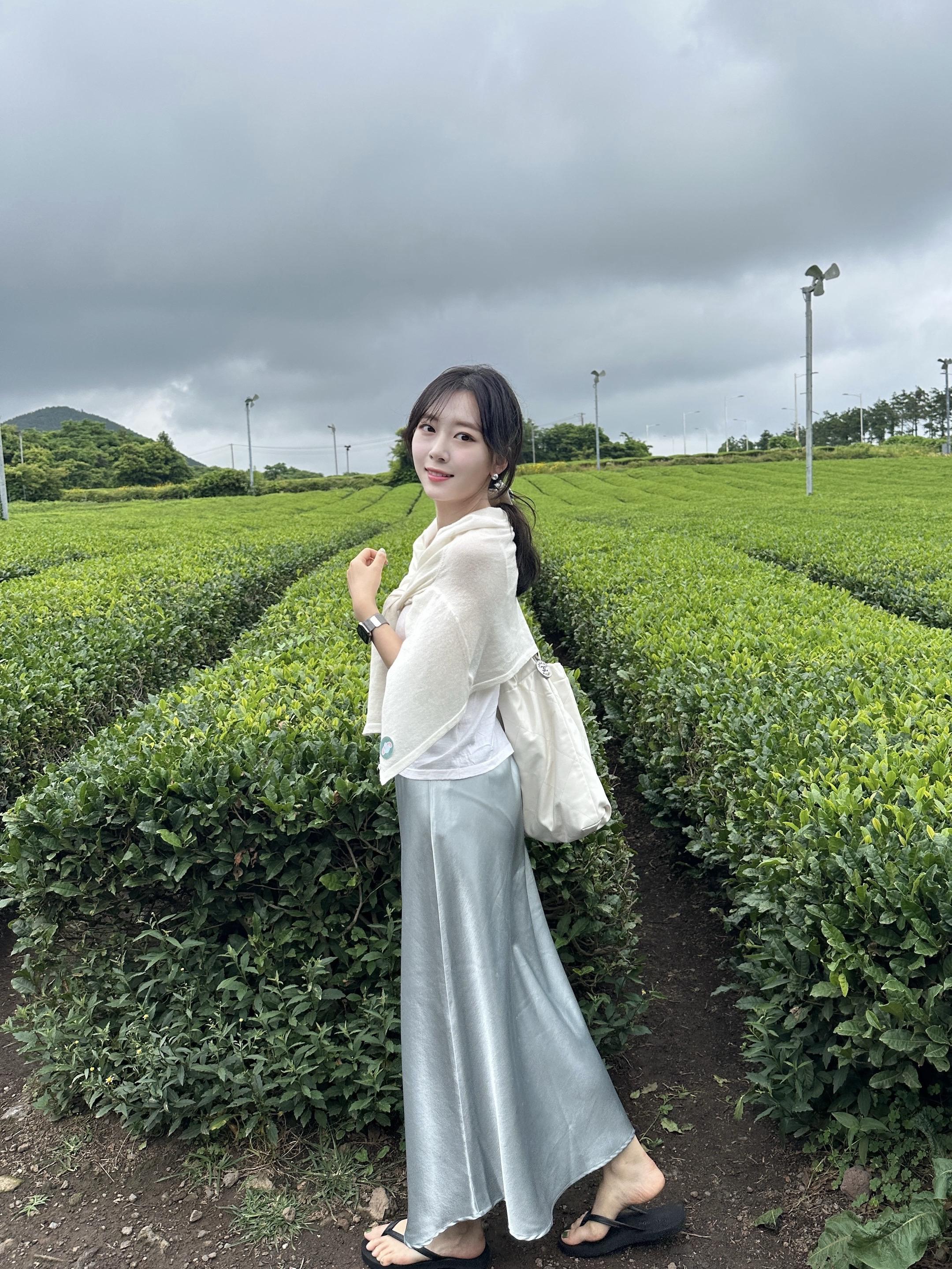 绿茶博物馆🍵。