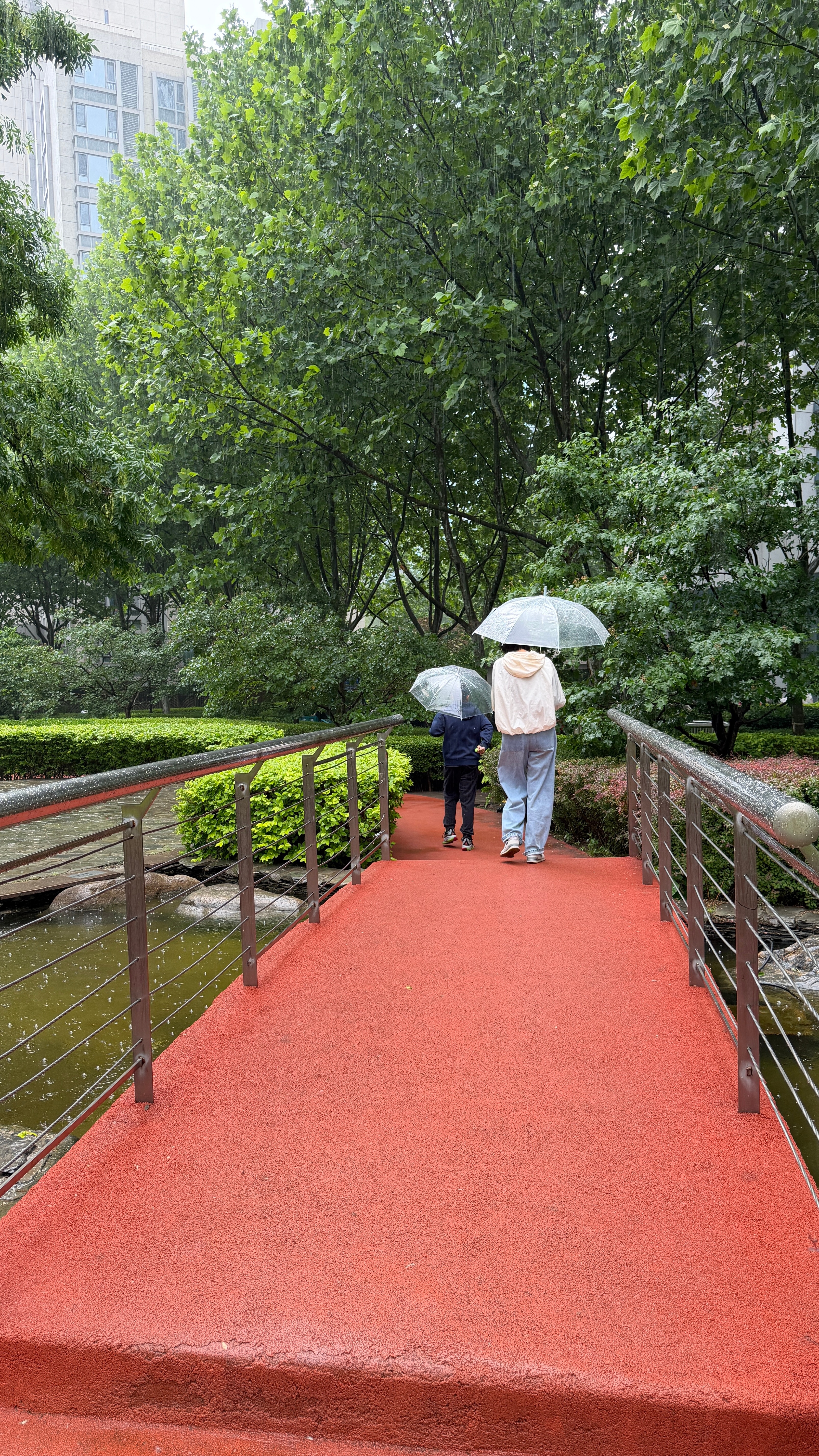 下雨了就最适合出来打着伞散步啦听听雨的声音 超级解压北京下雨 北京