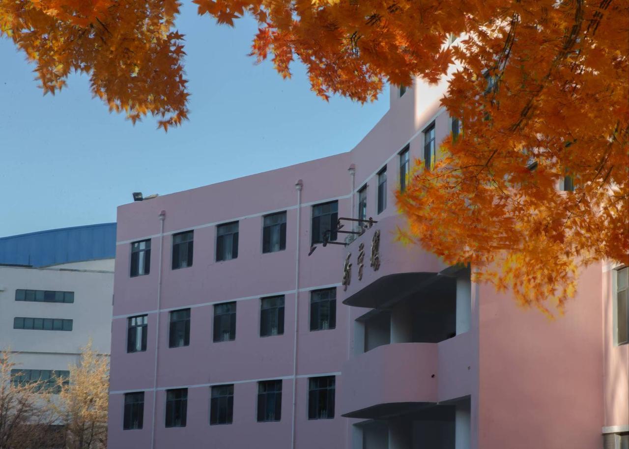 粉墙映日映晴空，枫叶金黄满树红。
书香一缕随风起，青春似梦亦从容。

走在校园的