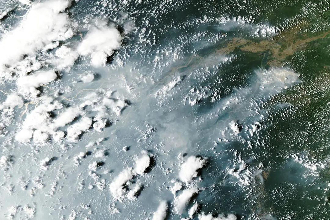 世界最大森林——亚马逊雨林着火了，大范围火灾正在森林中肆虐，火源就是人点燃的！然
