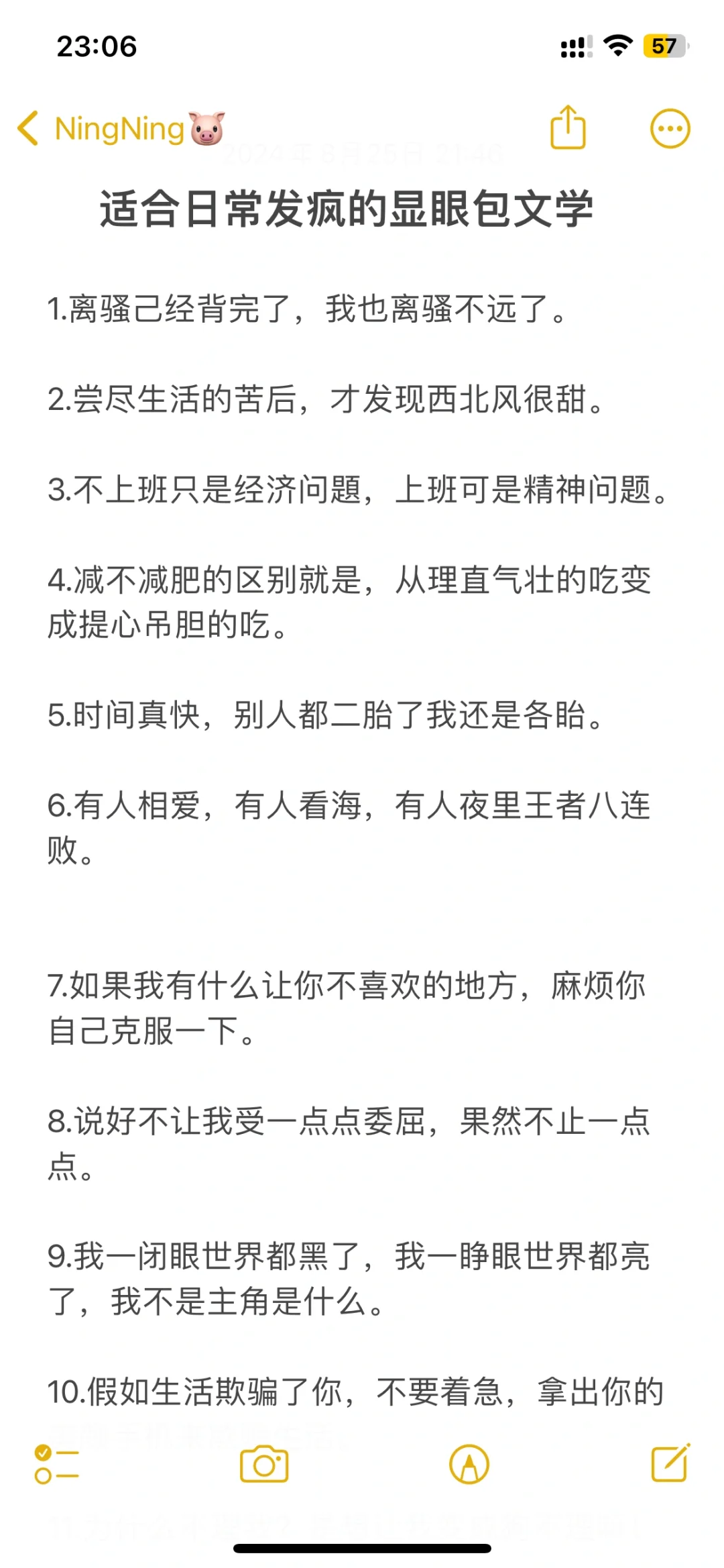 适合日常发疯的显眼包文学