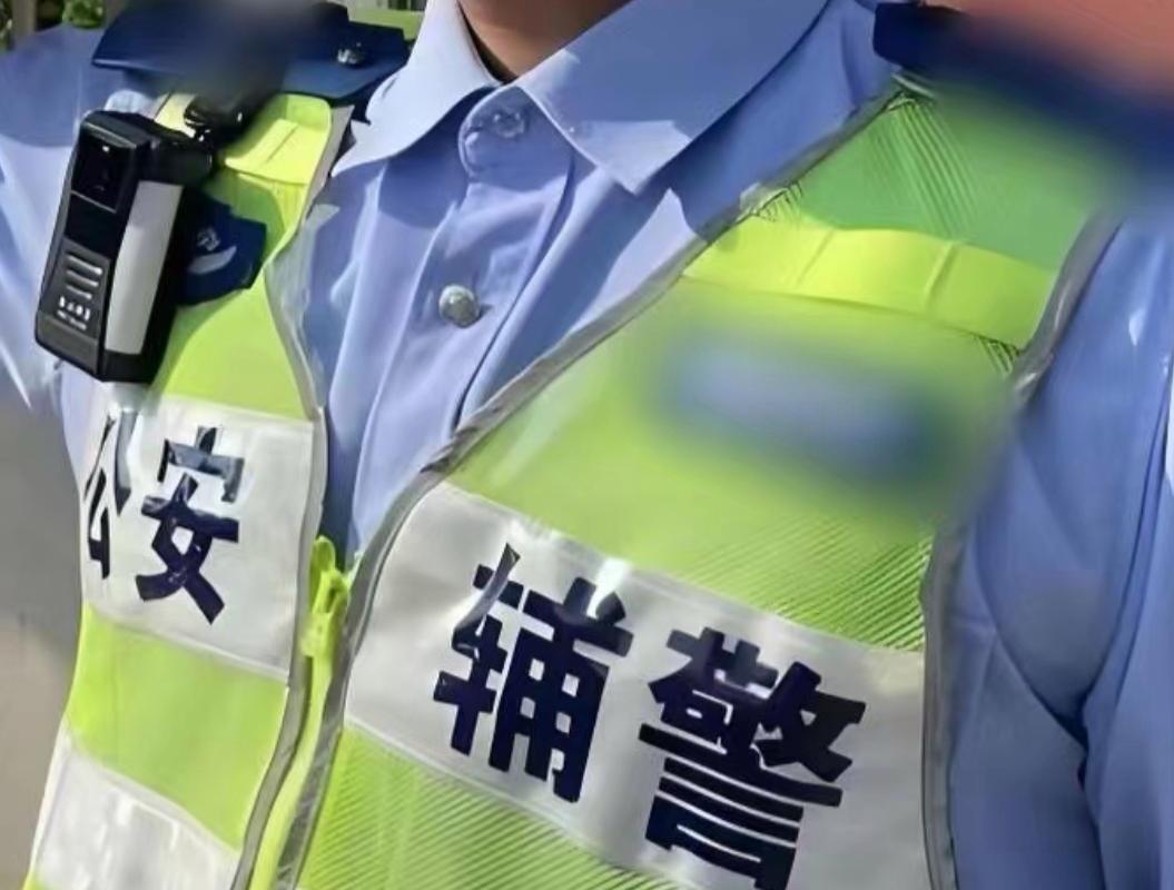 有网友疑惑：“辅警不能单独执法，为何还会被派单独任务？”

针对此问题，当下主要