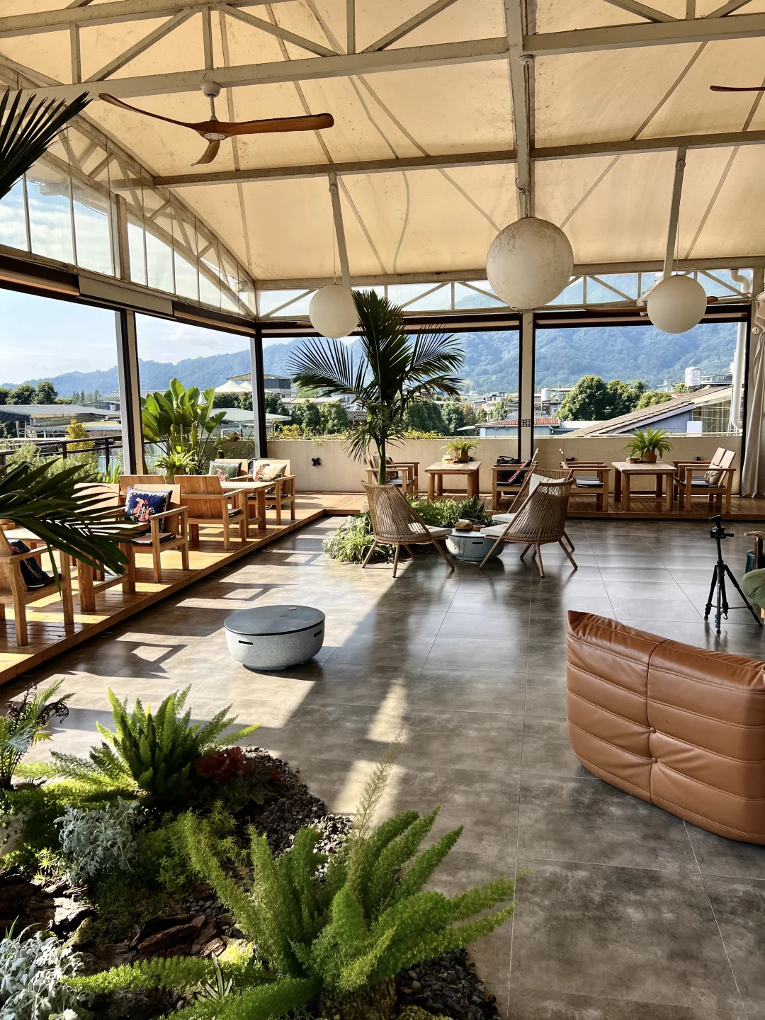 青城山这家店真的绝了！😏