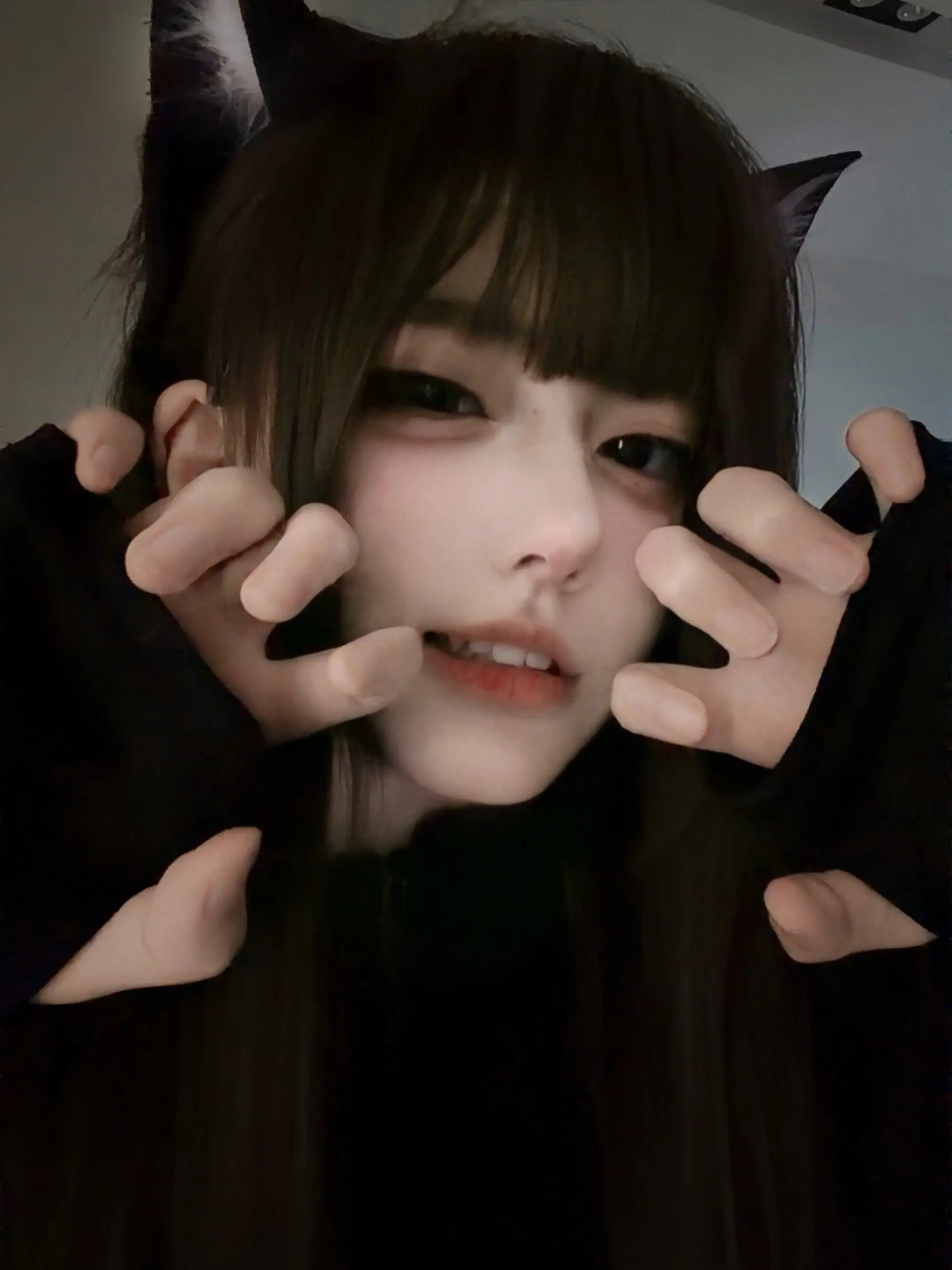 猫耳