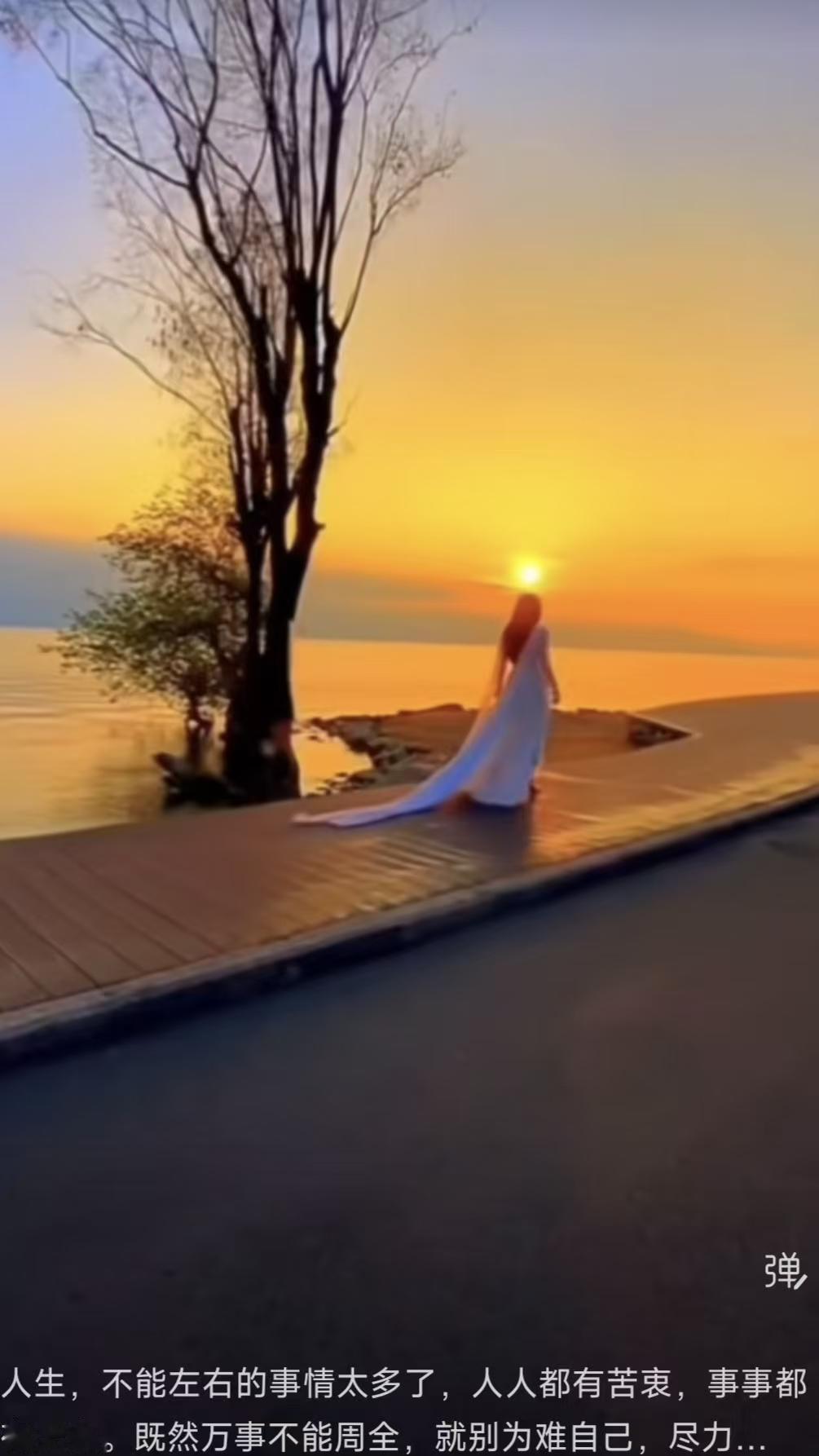 塞鸿秋·人生自渡
难由己事多无奈，
人人心底皆藏碍。
万事难全休自怪，
量力随心