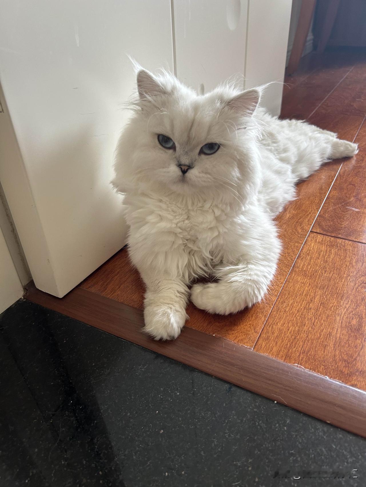 如果有天突然暴富，你还会工作吗我现在就不工作，暴富了还可能出去工作吗？[大笑][