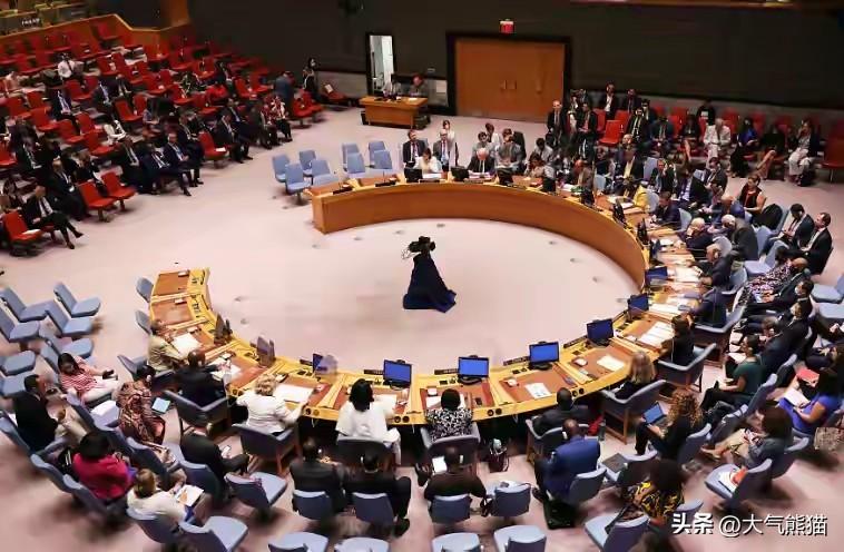 希望有些国家能够听得出弦外之音，
中方在联合国安理会议上呼吁，不允许恐怖分子使用