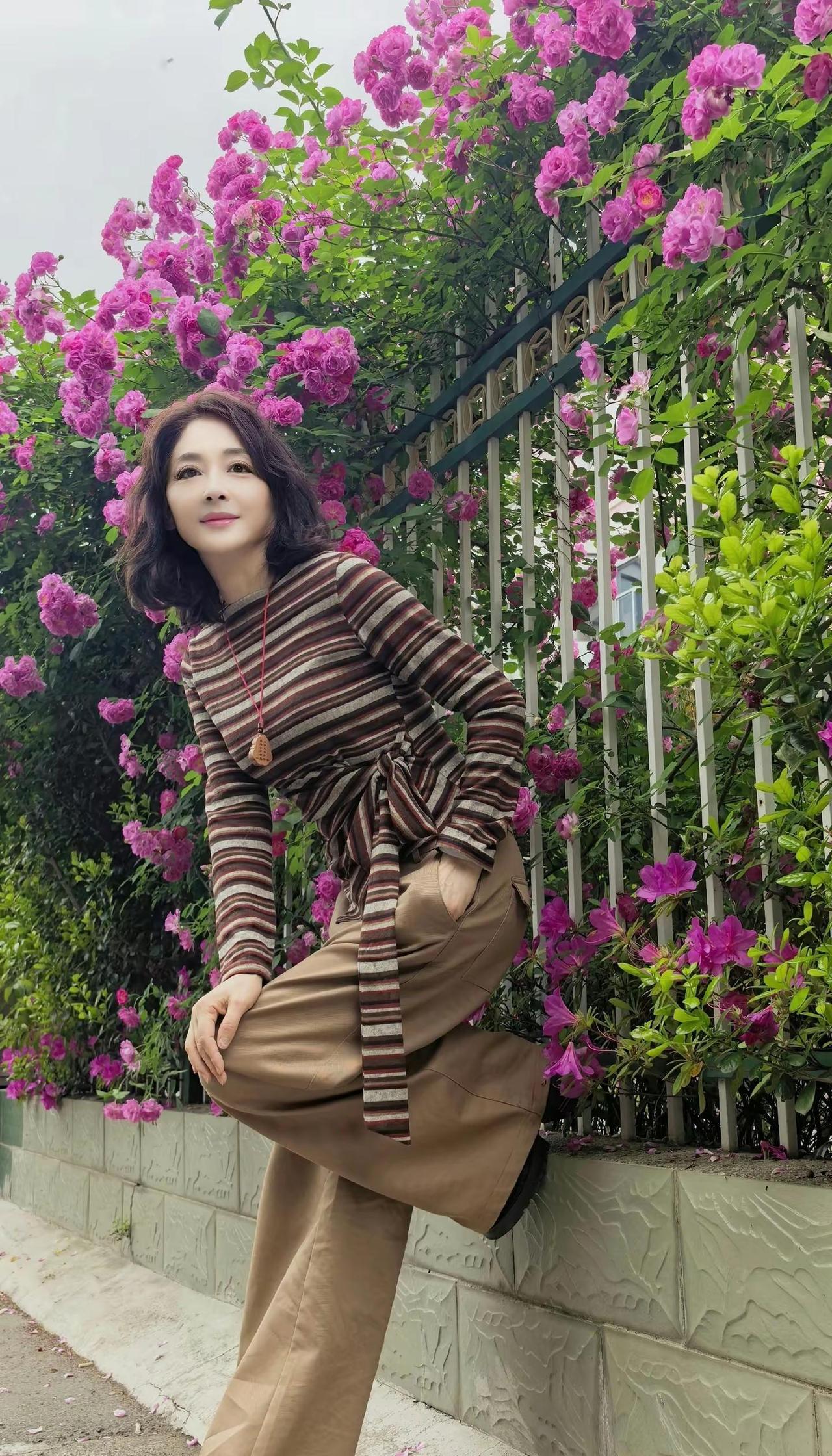 不问花开几许，只愿浅笑亦安然！五一去哪儿 蔷薇花 音乐分享 扬州