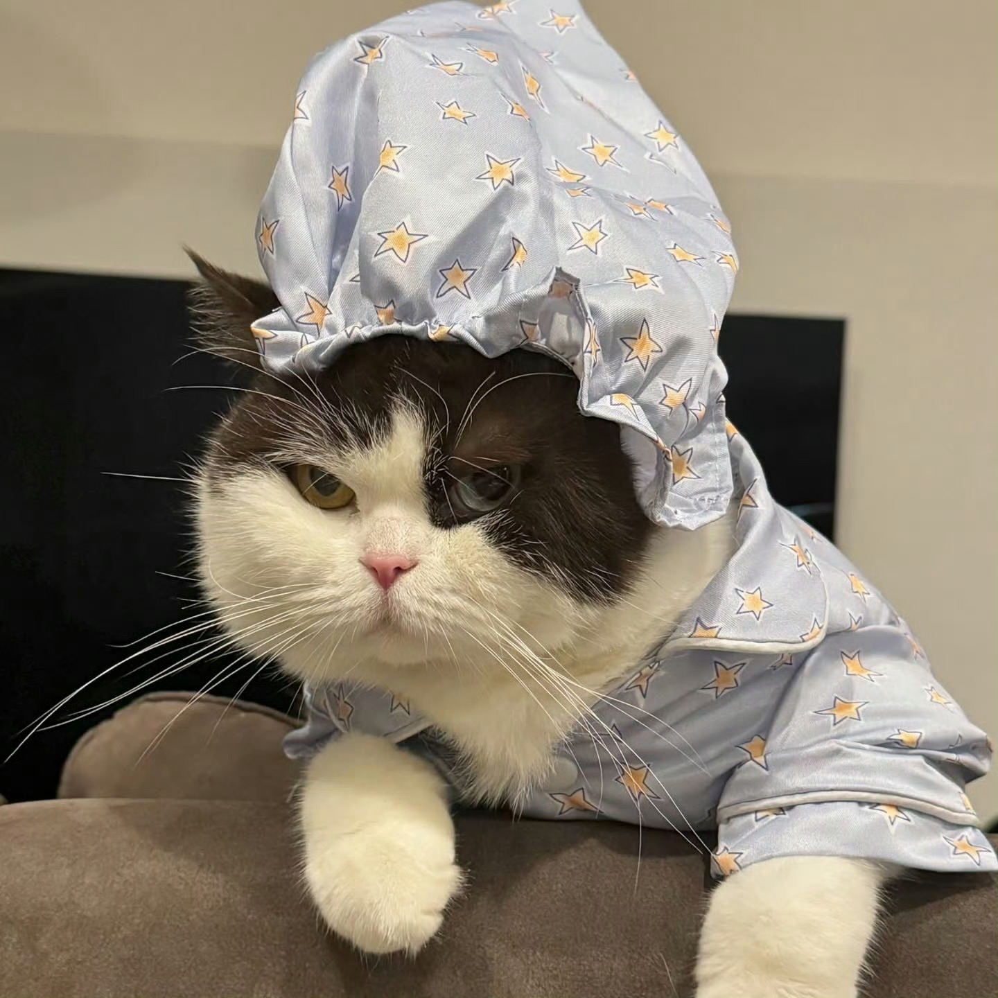 BounPrem[超话]   25.1.6 Prem🐷相关🐷：三岁啦～岁月在