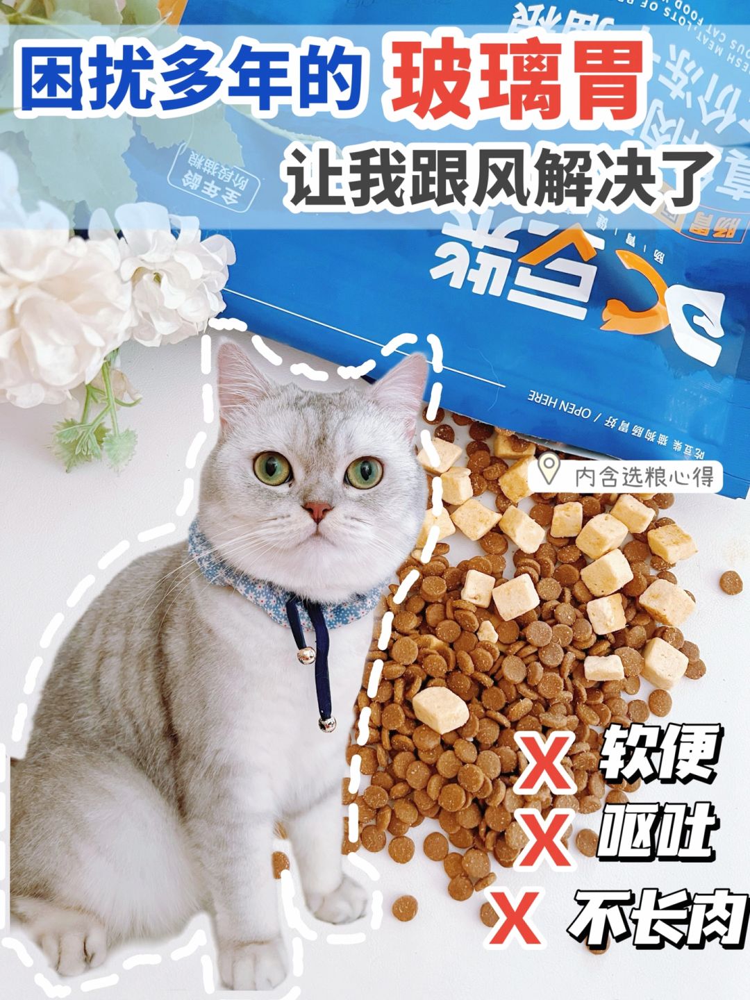 猫粮推荐｜困扰多年玻璃胃，让我跟风解决了