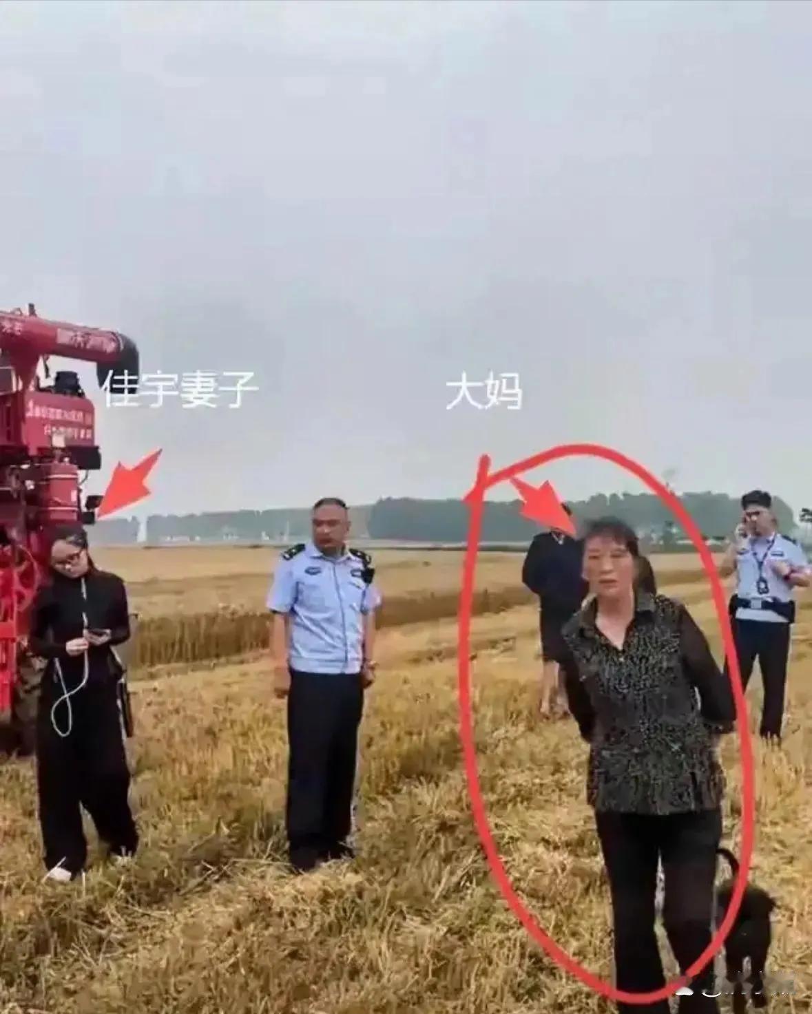 湖北襄阳这个大妈真是丢脸丢大了，一颗老鼠屎坏了一锅粥，看以后哪个农机手愿意去湖北