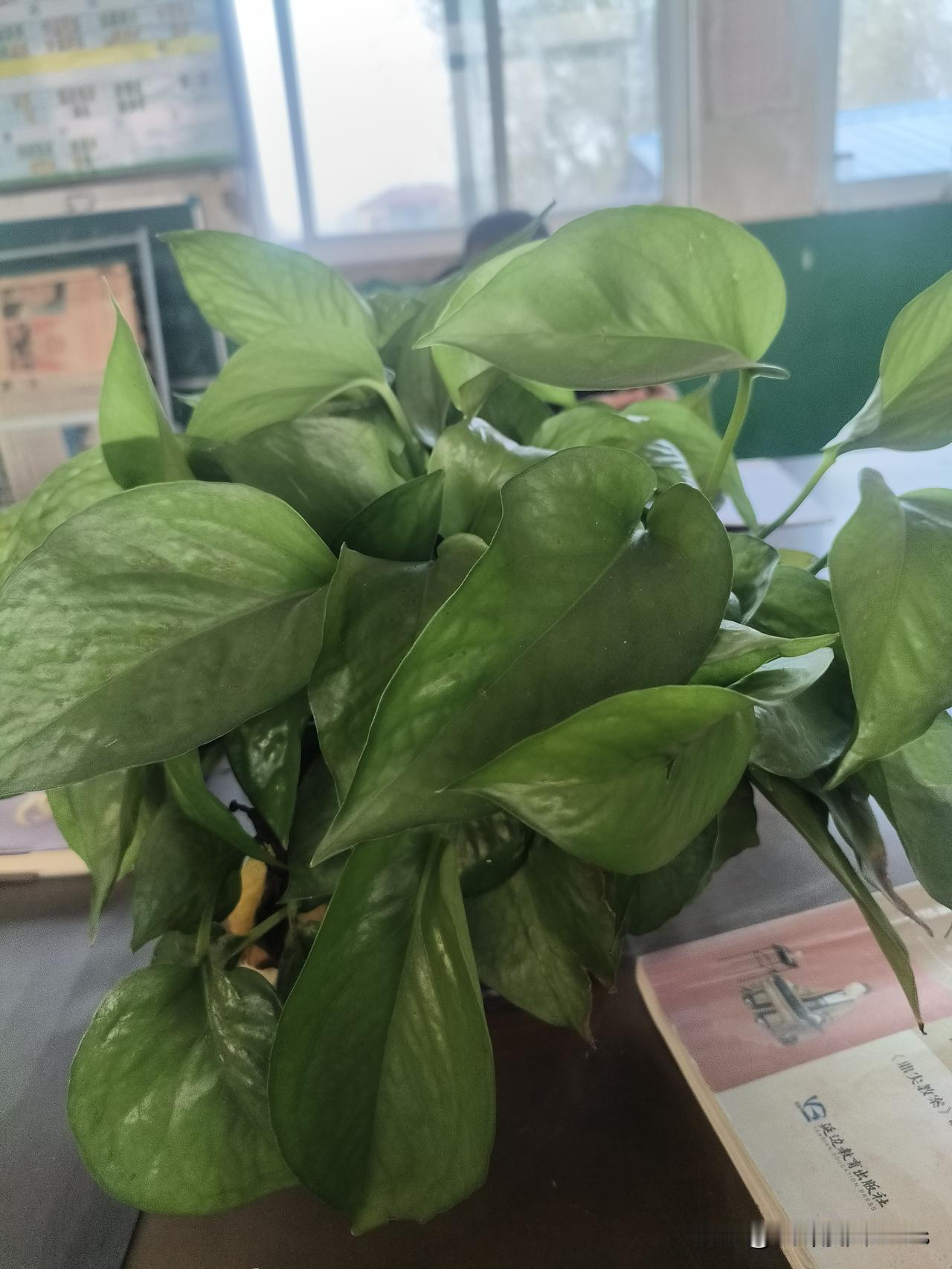 车站厕所盖个小广告，月入三万？广州破获特大案件，揭开花色情完整产业链



广州