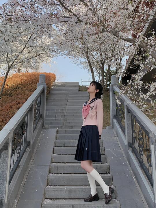 樱花树下