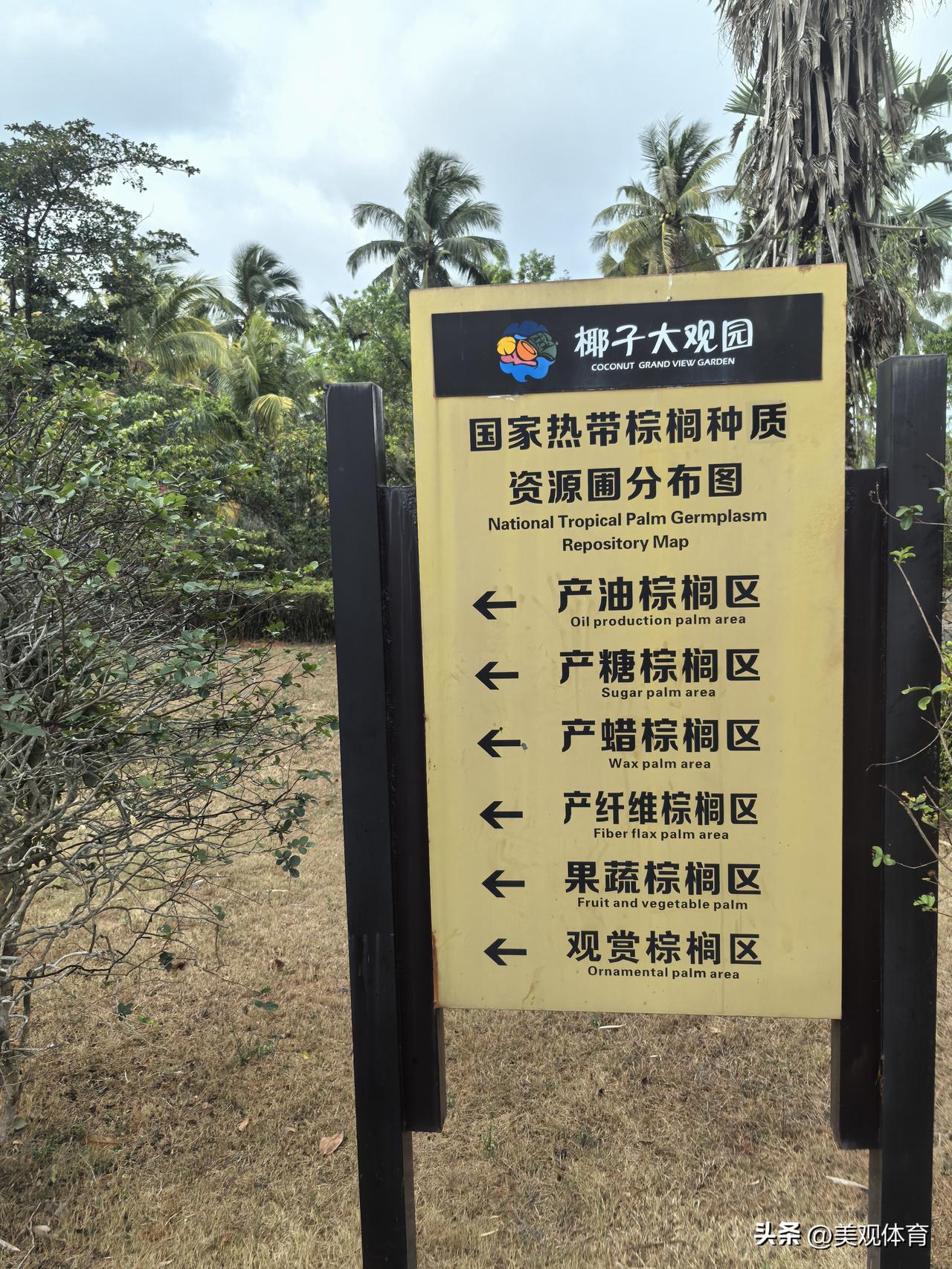 椰子大观园·国家热带棕榈种质资源圃分布图