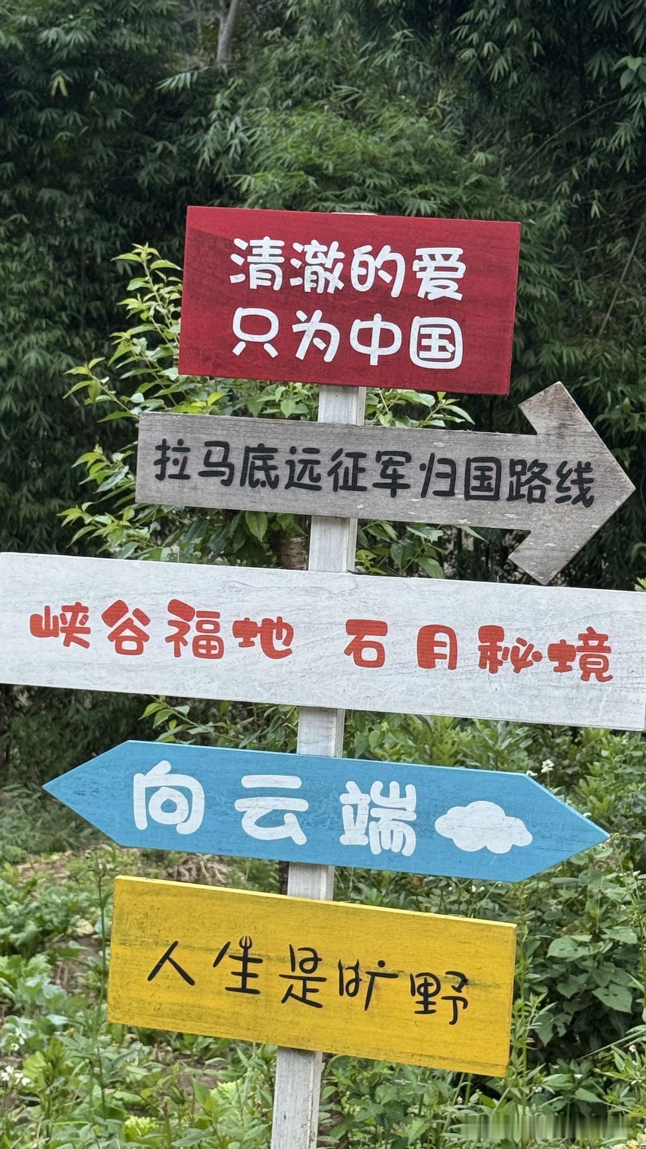 在我的记忆中，高黎贡山、碧罗雪山、怒江峡谷这些名词，主要来源于历史上那段令人沉痛