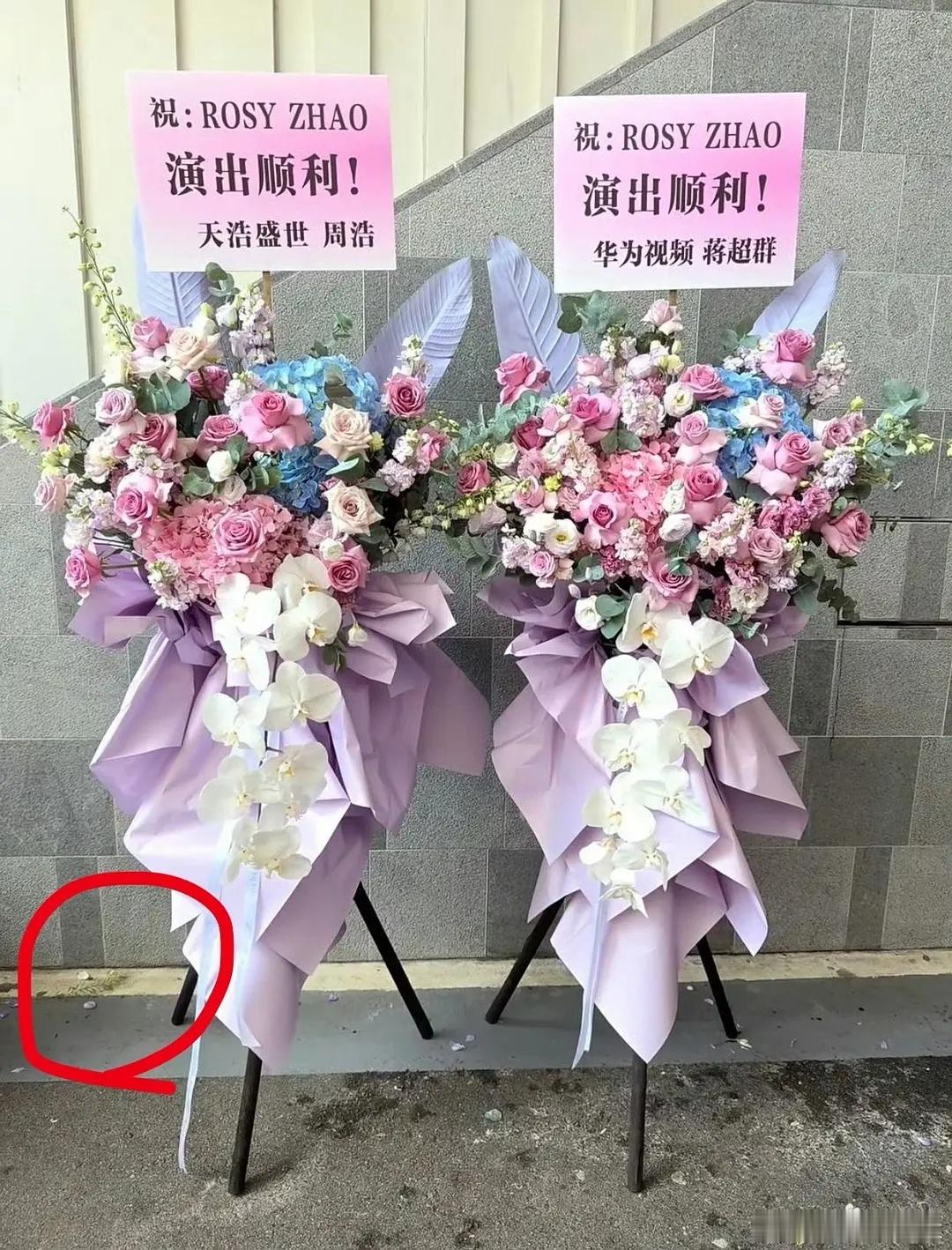赵露思演唱会好多笑话  花篮还能这么送 