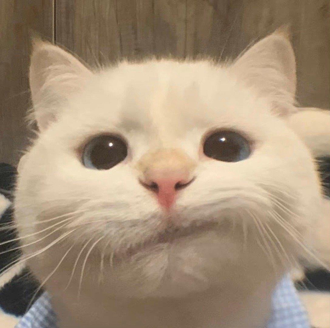 #张雪峰回应外语类专业能不能报#张雪峰老师对高考生的奉献不用多说 今年又是给出了