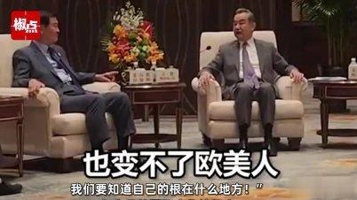 王毅：头发染得再黄鼻子修得再尖也变不了欧美人，要知道自己的根在什么地方 
