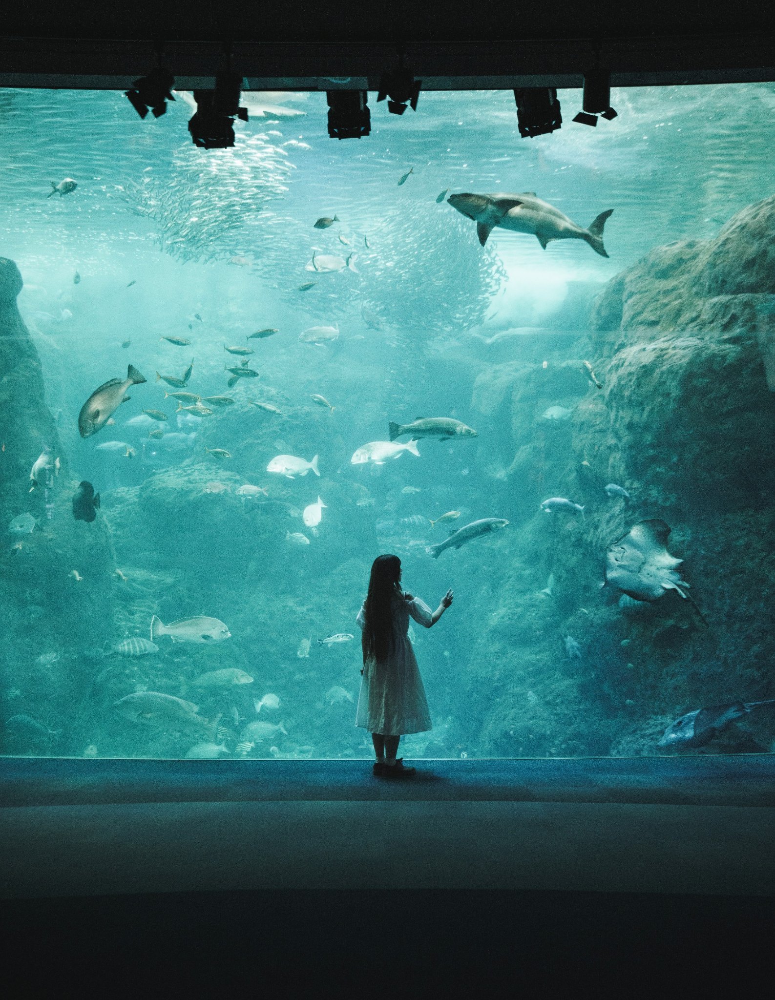 水族馆海底谭（图源：x.com