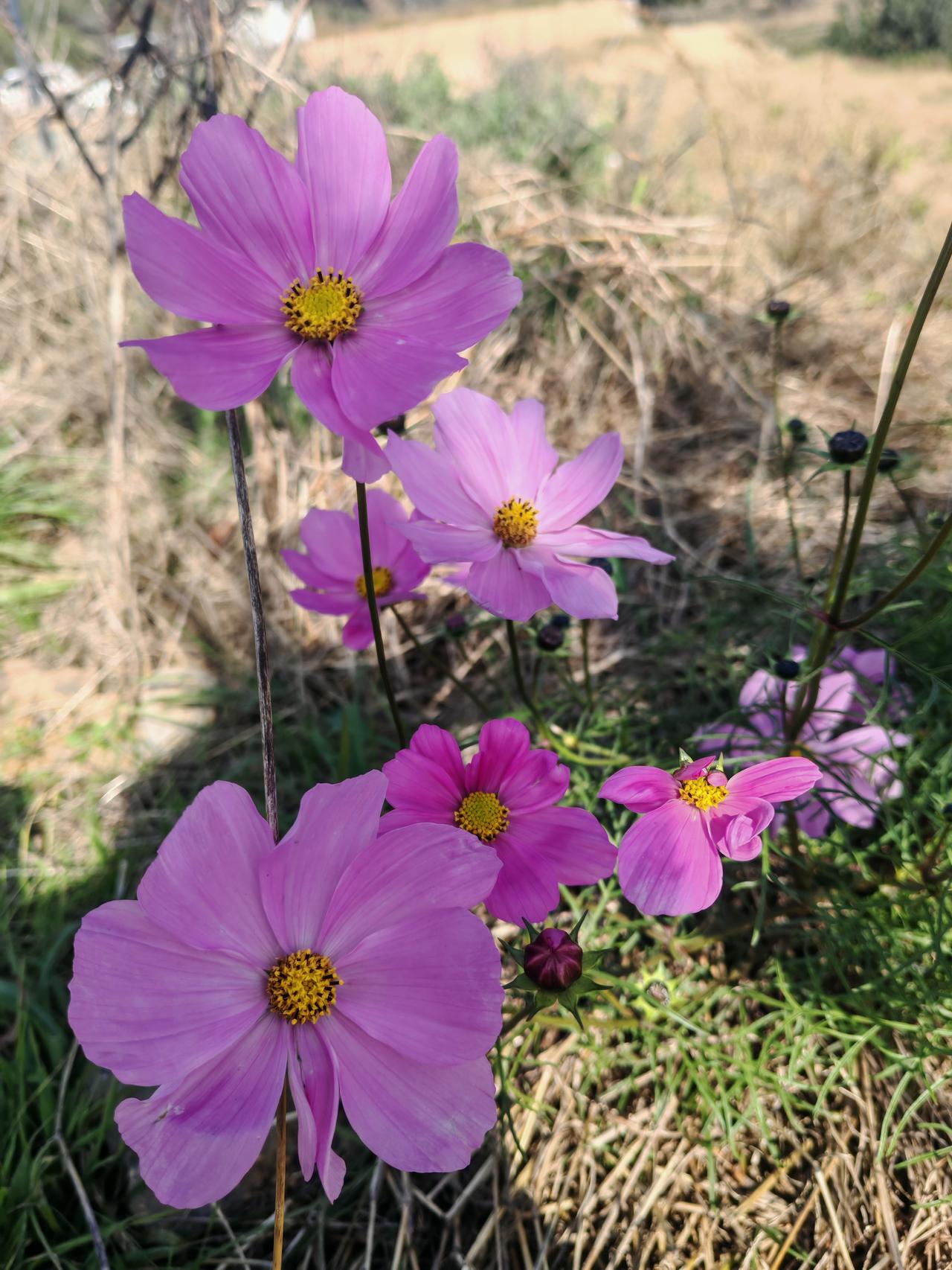 人，
往往会因为曾经的挫败，
来否定自己。
我倒觉得，
只要你走过了逆境，反而更