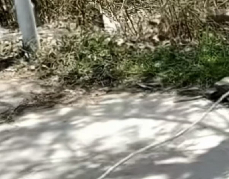 河南沁阳男孩骑车遭绳索割喉！村干部称筹了笔款准备交给家属