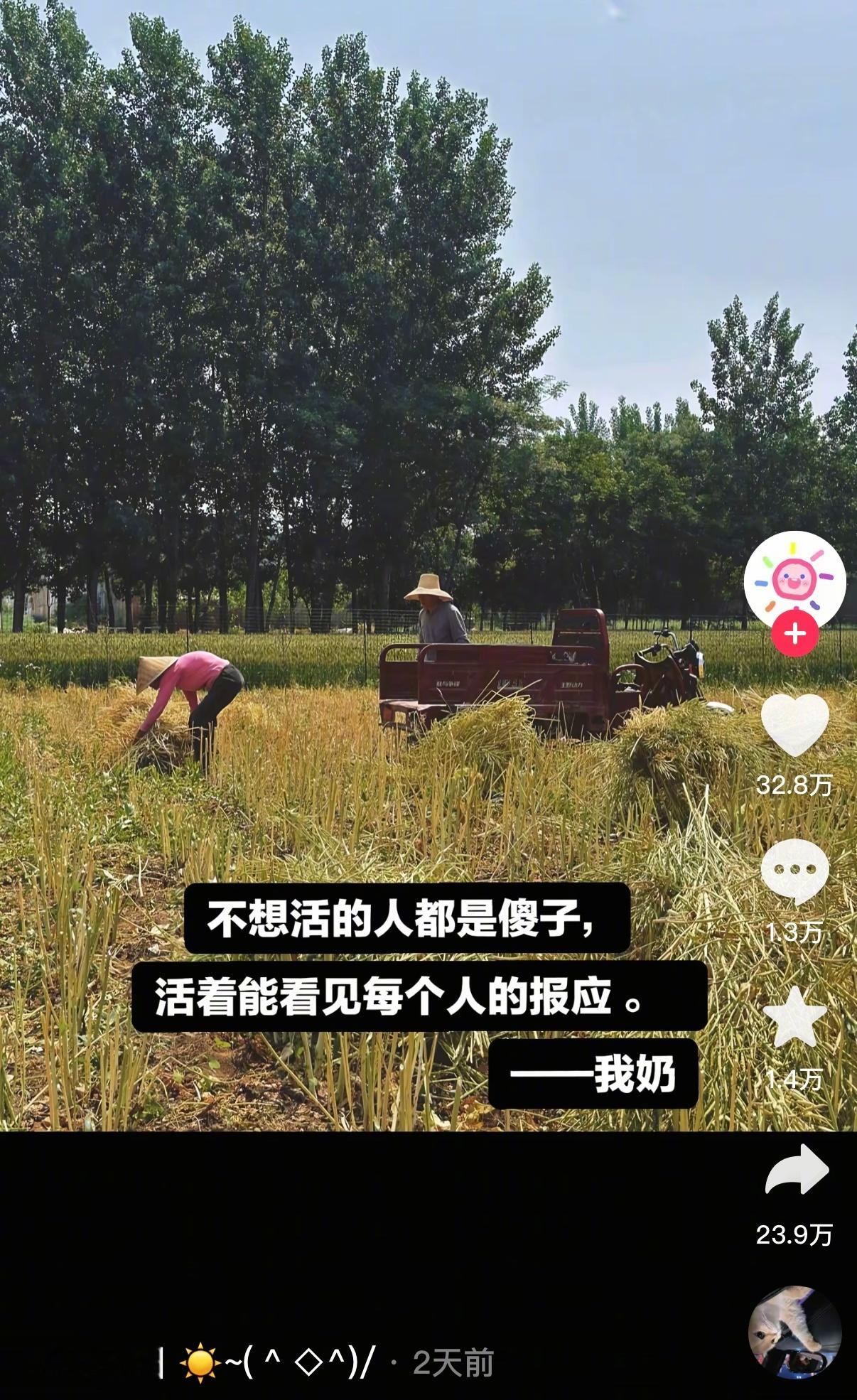 活着才能看见每个人的报应[拳头] ​​​