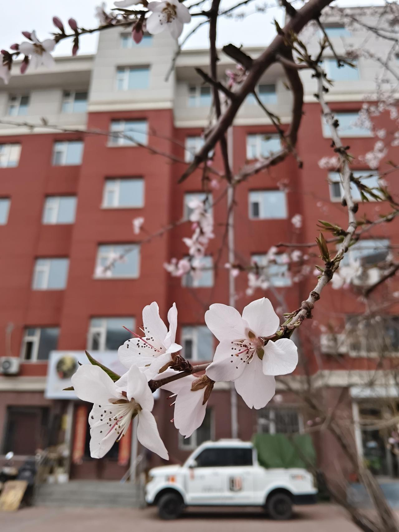 我想生活能美好！
但是每一步都是那么的艰辛，
今天跟儿子吵架了，本来昨天说好了，