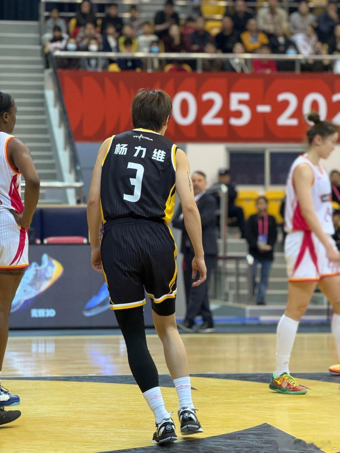 杨力维杨力维2025-2026赛季wcba联赛 20260127WCBA常规赛A