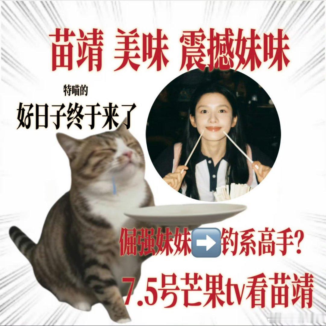 软萌张婧仪钓系张婧仪对打野狗骨头 温柔外表，内里桀骜不羁，软甜小鹿撞上钩系美人，