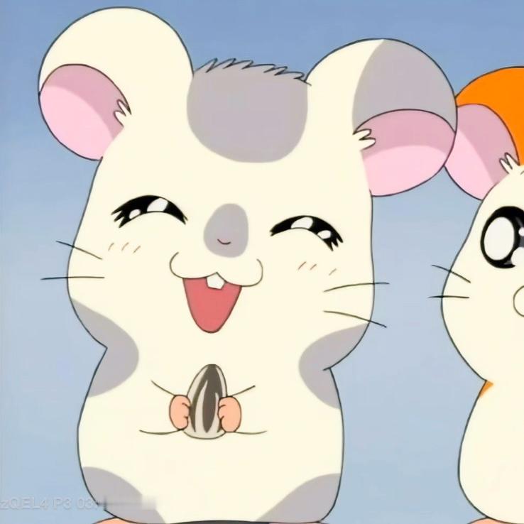 哈姆太郎🐹 ​​​