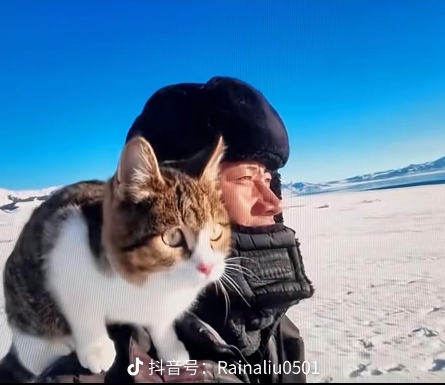 为什么？它那么乖，为什么这个世界却容不下一只小猫？

网红小猫悟空可以说是一只见